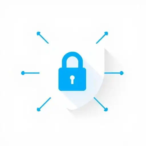 Privacy Policy Insights: The Example of Realfesta